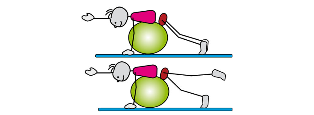 Fitball - Arm und Beinstrecker in Bauchlage